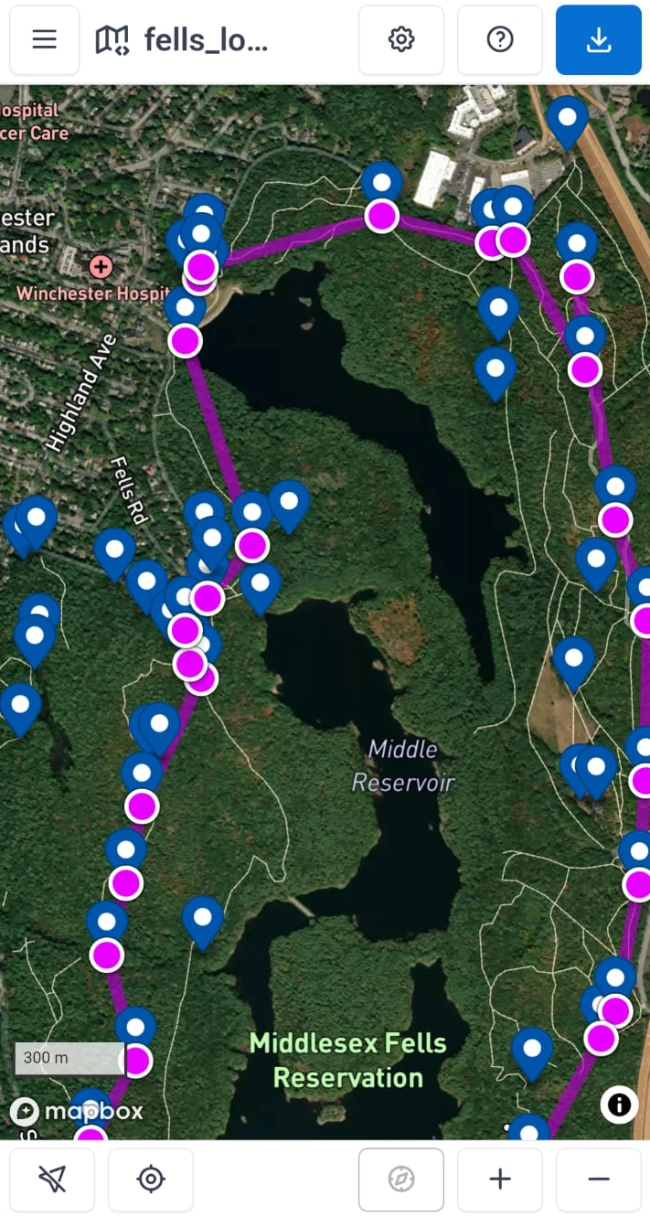 Mobile viewer with route map and controls